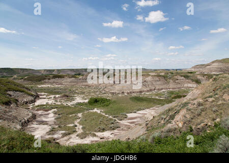Midland Provincial Park in der Nähe von Drumheller, in Alberta, Kanada. Der Park hat eine Self-guided Trail für die Erkundung der Landschaft der Badlands. Stockfoto