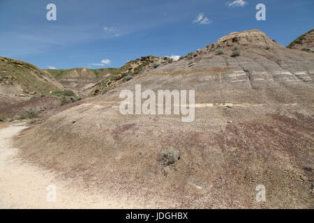 Midland Provincial Park in der Nähe von Drumheller, in Alberta, Kanada. Der Park hat eine Self-guided Trail für die Erkundung der Landschaft der Badlands. Stockfoto