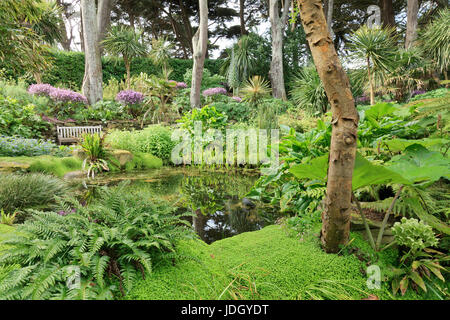 Frankreich, Finistère (29), Îles du du Ponant, Île de Batz, Jardin Georges Delaselle, le Bassin (Nutzung Presse et Édition Livre Uniquement Avec Menti Stockfoto