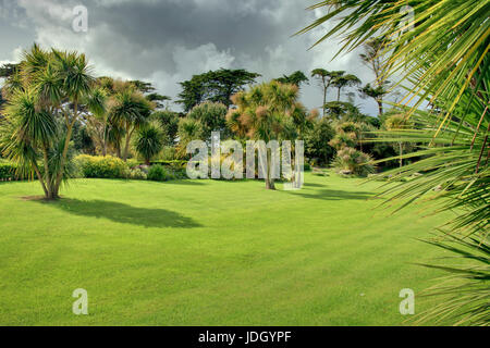 Frankreich, Finistère (29), Îles du du Ponant, Île de Batz, Jardin Georges Delaselle, la Palmeraie Plantée de duftender Australes (Cordyline Australis) e Stockfoto