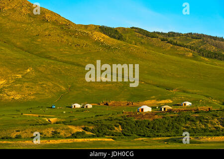 Jurten in der UNESCO-World Heritage Site Orkhon Tal kulturelle Landschaft, Mongolei Stockfoto