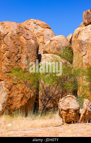 Devils Marbles - Felsen aus rotem Granit sind auf Grundgestein, Australien, Northern Territory ausgeglichen. Stockfoto