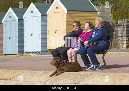 Drei Leute sitzen auf Bank genießen die Sonne mit Hund zu ihren Füßen in Bournemouth, Dorset im April Stockfoto