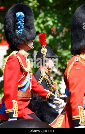 Royal Colonels Prince William und Anne, Princess Royal bei Trooping the Color 2017, The Mall, London. Duke of Cambridge Stockfoto