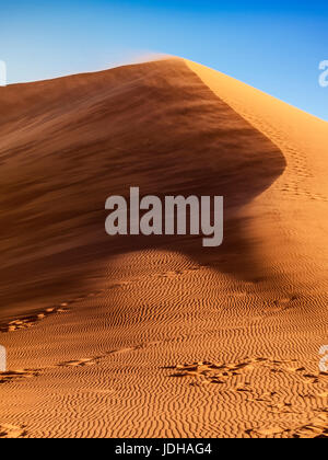 Düne 45 im Namib Naukluft Nationalpark, Sesriem, Namibia Stockfoto