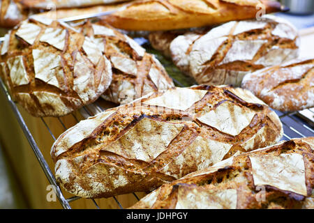 Frischem Roggenbrot in Bäckerei Nahaufnahme Stockfoto