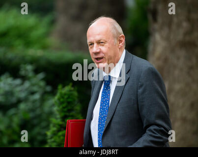 Ersten Staatssekretär, Minister für das Cabinet Office, Damian Green kommt in der Downing Street für eine Kabinettssitzung Stockfoto