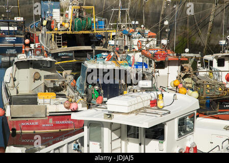 Abendsonne auf Fischerboote im Hafen von gemeinsame, Northumberland, England Stockfoto