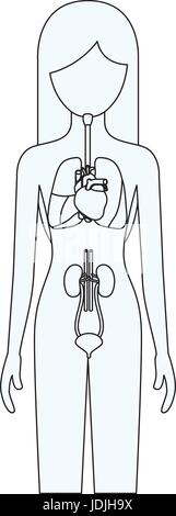 Silhouette der weiblichen Person mit System der inneren Organe des menschlichen Körpers zu skizzieren Stock Vektor