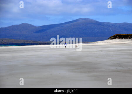 Einsame Frau Hund am West-Strand auf der Insel Berneray (Bearnaraigh) auf der Isle of North Uist, äußeren Hebriden, schottischen Inseln, Schottland, UK Stockfoto