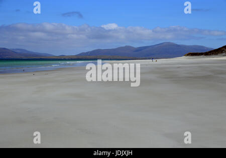 Einsame Frau Hund am West-Strand auf der Insel Berneray (Bearnaraigh) auf der Isle of North Uist, äußeren Hebriden, schottischen Inseln, Schottland, UK Stockfoto