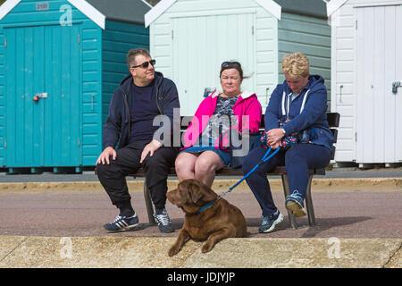 Drei Leute sitzen auf Bank genießen die Sonne mit Hund zu ihren Füßen in Bournemouth, Dorset im April Stockfoto