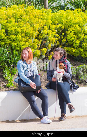 Zwei junge Frauen sitzen auf Wand mit Hund an Pier Ansatz, Bournemouth, Dorset im April Stockfoto