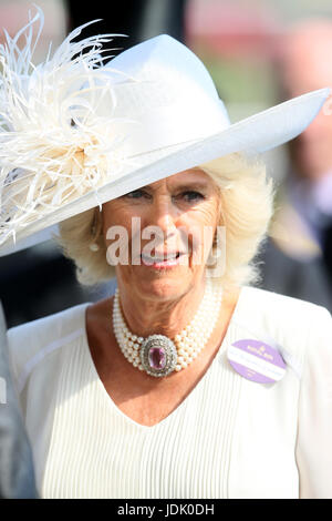 Die Herzogin von Cornwall bei Tag eins des Royal Ascot in Ascot Racecourse. Stockfoto