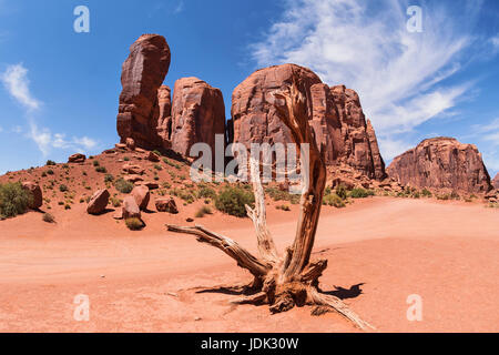 Monument Valley-Landschaft mit dürren Baum, Utah, USA Stockfoto