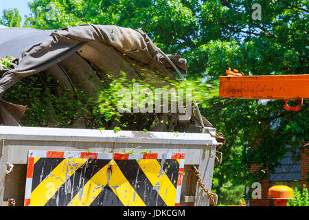 Holz-Häcksler in Aktion fängt ein Holz Häcksler oder Mulcher Chips über einen Zaun zu schießen. Stockfoto