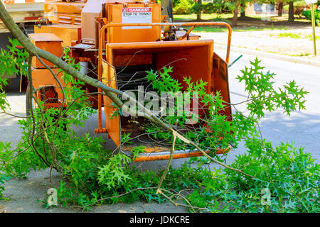 Landschaftsgärtner mit Häcksler Maschine zu entfernen und schleppen Kettensäge Baum Zweige Stockfoto