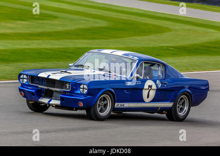 1965 Ford Shelby Mustang GT350 mit Rupert Clevely Fahrer gRaham Hill Trophy Rennen bei Goodwood GRRC 75. Mitgliederversammlung, Sussex, UK. Stockfoto