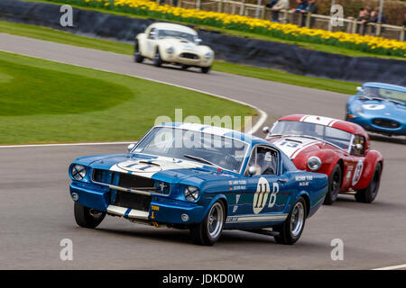 1965 Ford Shelby Mustang GT350 mit Fahrer Jochen Mass während Graham Hill Trophy-Rennen in Goodwood GRRC 75. Mitgliederversammlung, Sussex, UK. Stockfoto