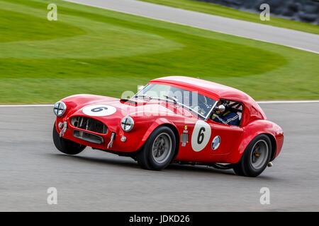 1965 AC Cobra mit Fahrer Andrew Haddon während der Graham Hill Trophy Rennen in Goodwood GRRC 75. Mitgliederversammlung, Sussex, UK. Stockfoto