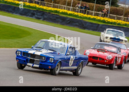 1965 Ford Shelby Mustang GT350 mit Rupert Clevely Fahrer gRaham Hill Trophy Rennen bei Goodwood GRRC 75. Mitgliederversammlung, Sussex, UK. Stockfoto