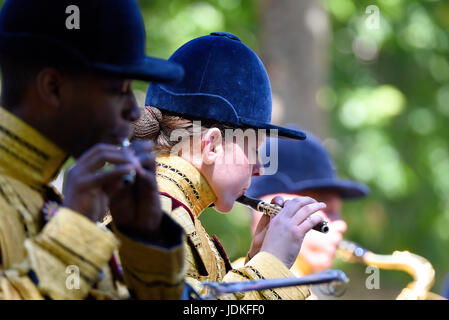 Berittene Band der Household Cavalry während der Trooping the Colour 2017 in der Mall, London, Großbritannien Stockfoto