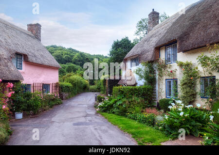 Dunster, Somerset, Exmoor, England, Vereinigtes Königreich Stockfoto