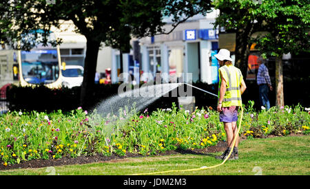 Brighton, UK. 21. Juni 2017. Die Blumen bekommen in der alten Steine Brighton Vormittag bewässert, wie es der heißeste Junitag seit über 40 Jahren in einigen Teilen von Großbritannien werden voraussichtlich heute Credit: Simon Dack/Alamy Live News Stockfoto