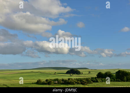 Wiltshire Landschaft in der Nähe von Beckhampton Ställe Rennen Pferd Trainingsgelände, Marlborough, England Stockfoto