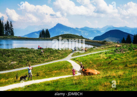Wandererlebnis in Scheffau Sommer bin Wilden Kaiser, Tirol, Österreich Stockfoto
