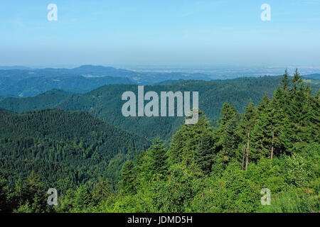 Wandern-Impressionen aus dem Schwarzwald, Deutschland Stockfoto