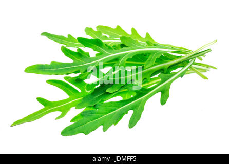 Rucola Bund isolierten auf weißen Hintergrund. Grüne Rucola heap Stockfoto