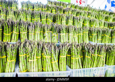 Viele Spargel Trauben auf dem Display im Markt Stockfoto