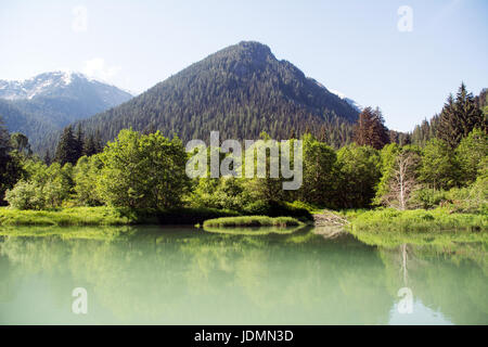 Ruhigen Gewässern des Pazifik-Mündung in Kitlope Erbe Conservancy in der Great Bear Rainforest Region, Britisch-Kolumbien, Kanada. Stockfoto