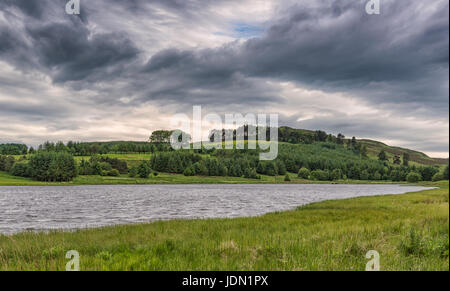 Piperdam See in Schottland mit Pinien und Hügeln in der Ferne alles unter einem regnerischen Himmel Stockfoto