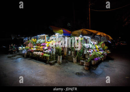 Blume Stall in Jakarta bei Nacht Stockfoto