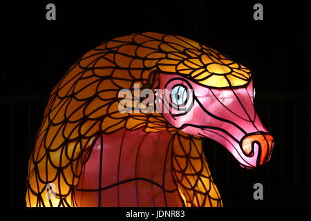 Sydney, Australien - 16. Juni 2017. Pangolin. Riesigen Multimedia-Lichtskulpturen auf dem herrlichen Gelände des Taronga Zoo bei Vivid Sydney Lichter Festiv Stockfoto