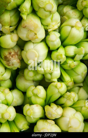 Baby Bok choy Stockfoto