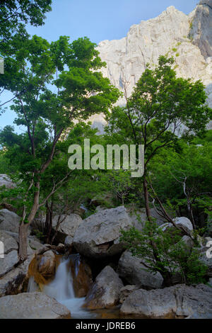 Anića-Kuk im Nationalpark Paklenica, Kroatien Stockfoto