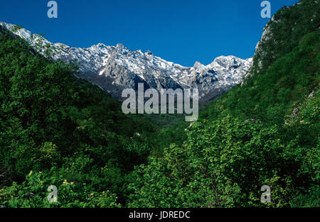 Schnee auf Gipfeln und grünen Wald im Frühling im Nationalpark Paklenica, Kroatien Stockfoto