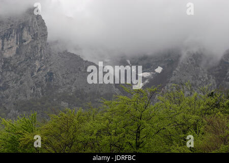 Regen, Wolken und Nebel auf den felsigen Gipfeln und Wald im Nationalpark Paklenica, Kroatien Stockfoto