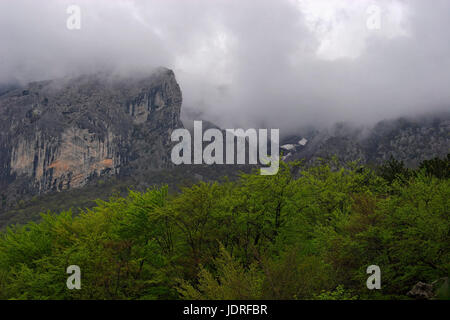 Regen, Wolken und Nebel auf den felsigen Gipfeln und Wald im Nationalpark Paklenica, Kroatien Stockfoto