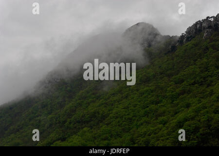 Regen, Wolken und Nebel auf den felsigen Gipfeln und Wald im Nationalpark Paklenica, Kroatien Stockfoto