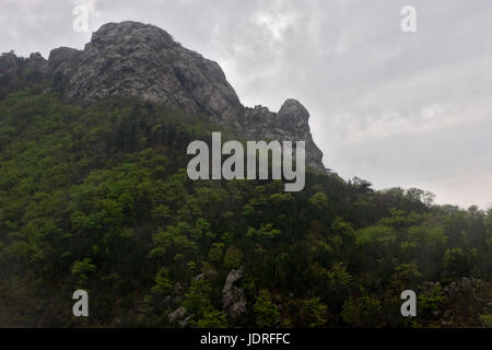 Regen, Wolken und Nebel auf den felsigen Gipfeln und Wald im Nationalpark Paklenica, Kroatien Stockfoto