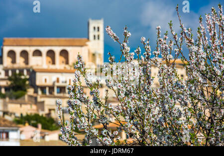 Mandelblüte in Dorf Selva, Es Raiguer, Mallorca, Balearen, Spanien Stockfoto