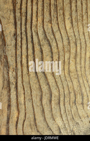 Textur der Fir Planke, hölzerne Muster für Ihr design Stockfoto