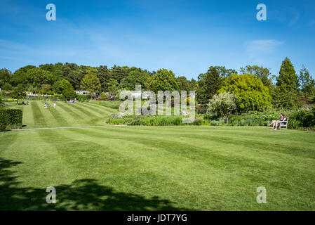 Schönen Sommertag in Harlow Carr Gardens in Harrogate, North Yorkshire. Stockfoto