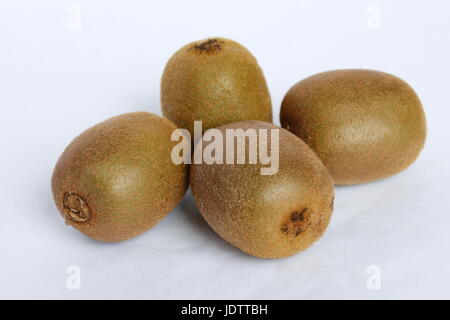 Hübsche Kiwis sehr frisch und lecker auf weißem Hintergrund Stockfoto