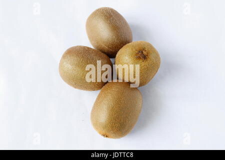 Hübsche Kiwis sehr frisch und lecker auf weißem Hintergrund Stockfoto