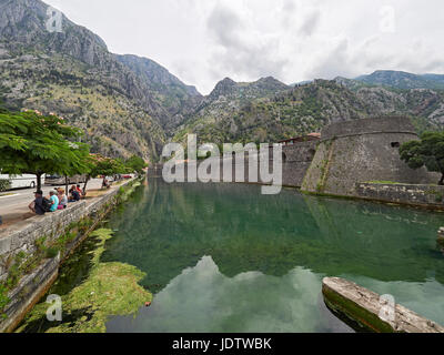 Kotor der ummauerten Stadt in der Bucht von Kotor-Montenegro zeigt venezianische Stadtmauer Stockfoto